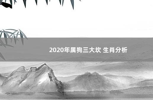 2020年属狗三大坎 生肖分析