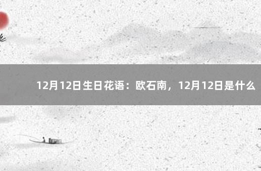 12月12日生日花语：欧石南，12月12日是什么星座？ 12月2日生日花语