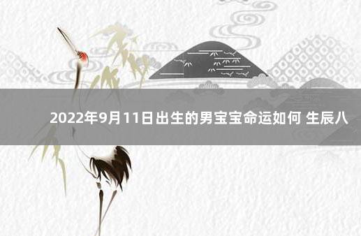 2022年9月11日出生的男宝宝命运如何 生辰八字查询