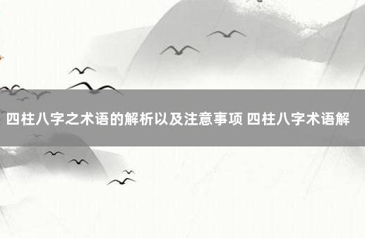 四柱八字之术语的解析以及注意事项 四柱八字术语解析