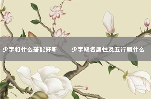 少字和什么搭配好听 　　少字取名属性及五行属什么：