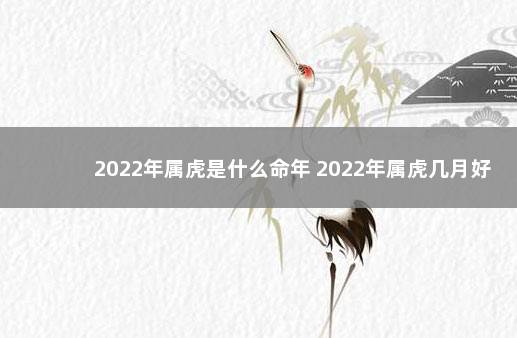 2022年属虎是什么命年 2022年属虎几月好