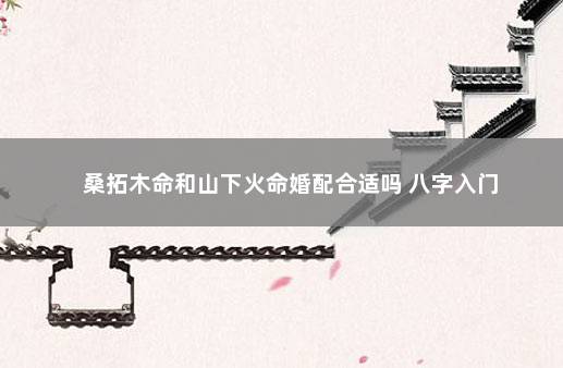 桑拓木命和山下火命婚配合适吗 八字入门