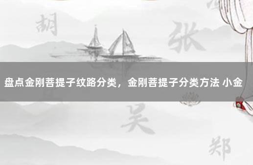 盘点金刚菩提子纹路分类，金刚菩提子分类方法 小金刚菩提子介绍