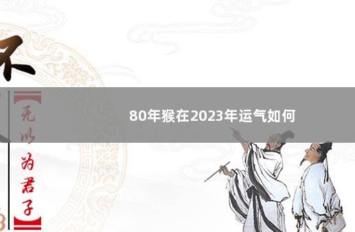 80年猴在2023年运气如何