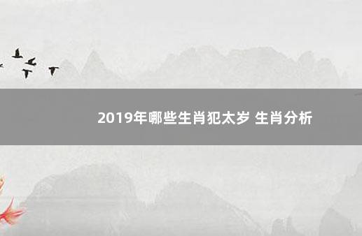 2019年哪些生肖犯太岁 生肖分析