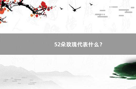 52朵玫瑰代表什么？