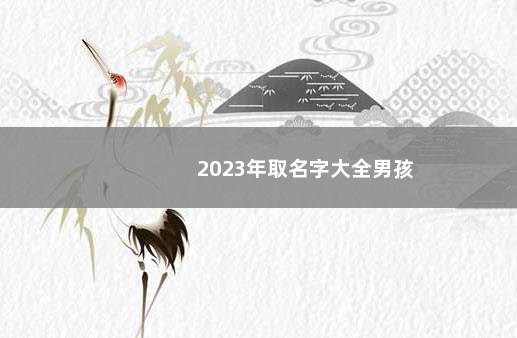 2023年取名字大全男孩