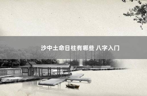 沙中土命日柱有哪些 八字入门