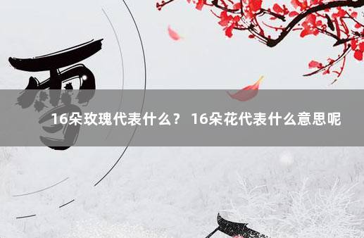 16朵玫瑰代表什么？ 16朵花代表什么意思呢