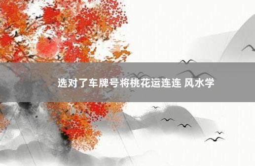 选对了车牌号将桃花运连连 风水学