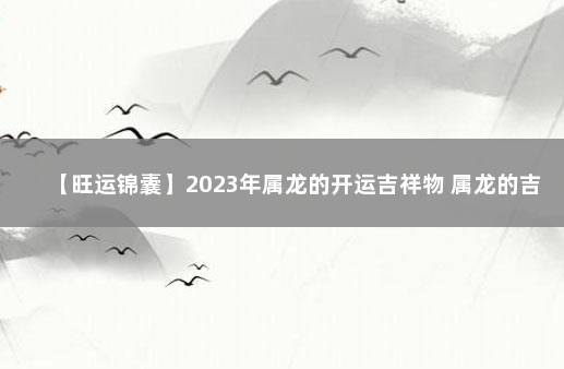 【旺运锦囊】2023年属龙的开运吉祥物 属龙的吉祥物招财是什么