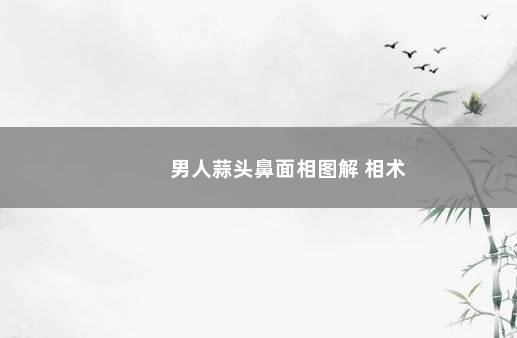 男人蒜头鼻面相图解 相术
