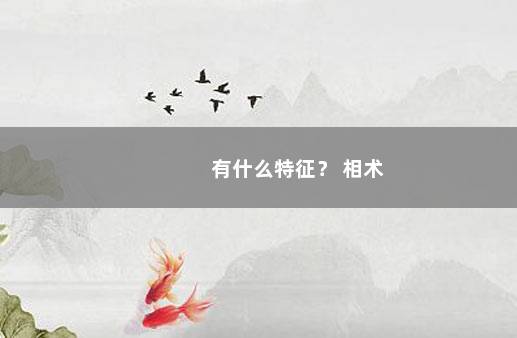 有什么特征？ 相术