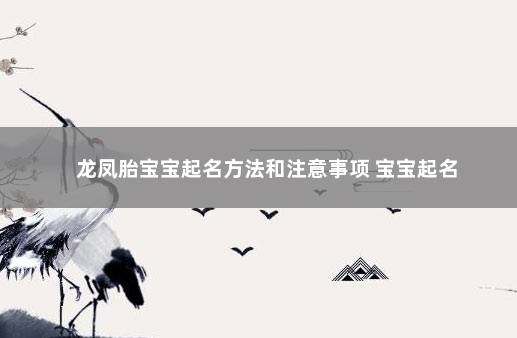 龙凤胎宝宝起名方法和注意事项 宝宝起名