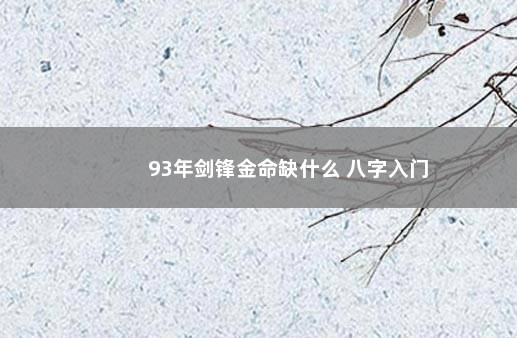 93年剑锋金命缺什么 八字入门