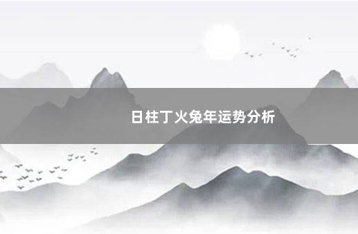 日柱丁火兔年运势分析