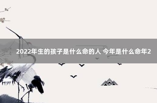 2022年生的孩子是什么命的人 今年是什么命年2022