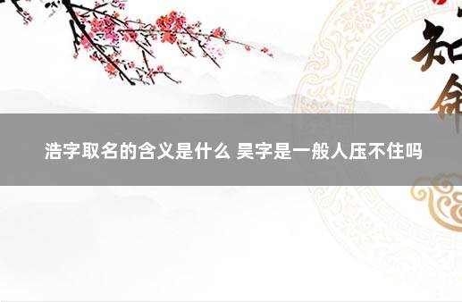 浩字取名的含义是什么 昊字是一般人压不住吗