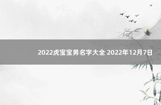 2022虎宝宝男名字大全 2022年12月7日