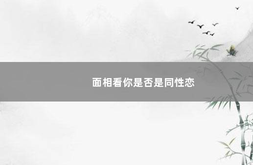 面相看你是否是同性恋