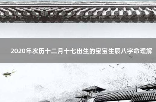 2020年农历十二月十七出生的宝宝生辰八字命理解析 生辰八字解析