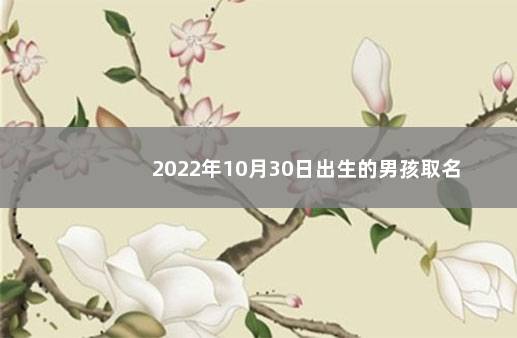 2022年10月30日出生的男孩取名