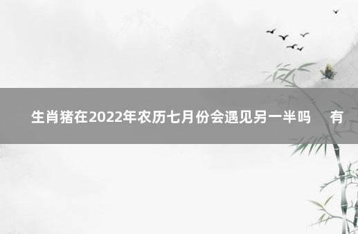 生肖猪在2022年农历七月份会遇见另一半吗 　有正缘出现