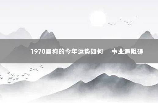 1970属狗的今年运势如何 　事业遇阻碍