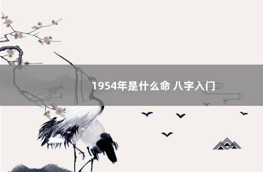1954年是什么命 八字入门