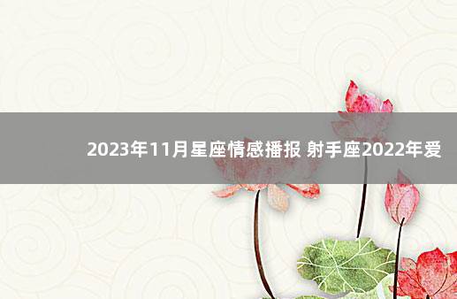 2023年11月星座情感播报 射手座2022年爱情