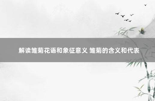 解读雏菊花语和象征意义 雏菊的含义和代表