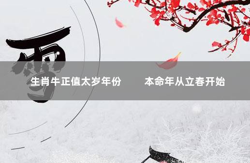 生肖牛正值太岁年份 　　本命年从立春开始