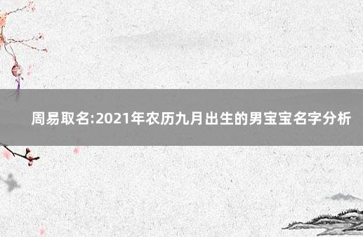 周易取名:2021年农历九月出生的男宝宝名字分析 取名