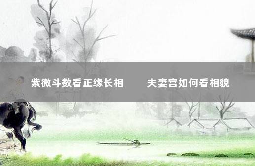 紫微斗数看正缘长相 　　夫妻宫如何看相貌