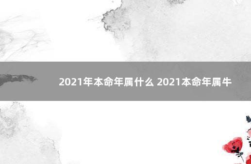 2021年本命年属什么 2021本命年属牛