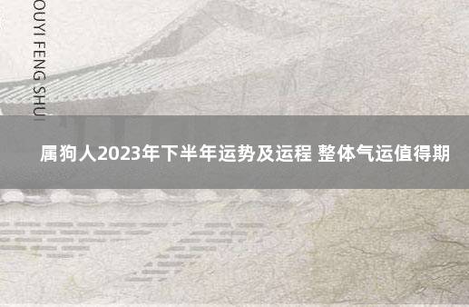 属狗人2023年下半年运势及运程 整体气运值得期待