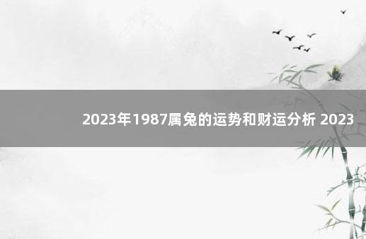 2023年1987属兔的运势和财运分析 2023年两会时间