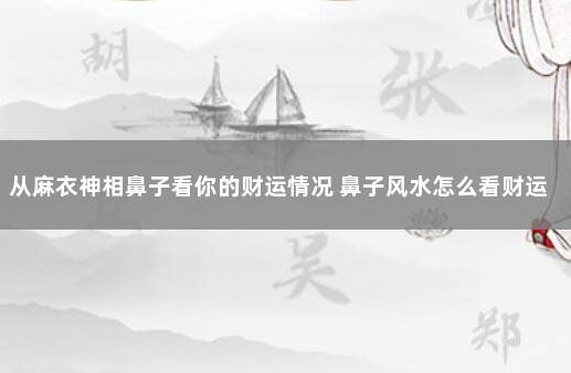 从麻衣神相鼻子看你的财运情况 鼻子风水怎么看财运