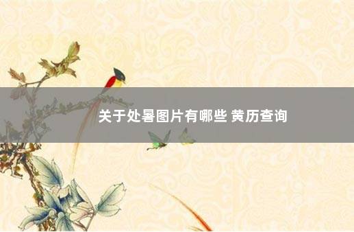 关于处暑图片有哪些 黄历查询