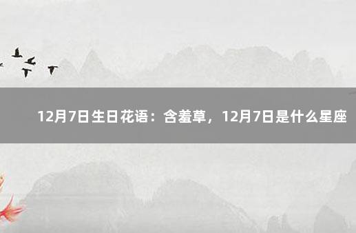 12月7日生日花语：含羞草，12月7日是什么星座？ 摩羯座的生辰花是什么花