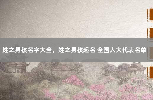 姓之男孩名字大全，姓之男孩起名 全国人大代表名单