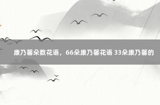 康乃馨朵数花语，66朵康乃馨花语 33朵康乃馨的花语