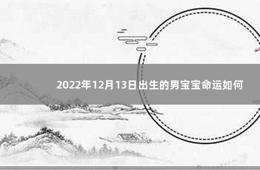 2022年12月13日出生的男宝宝命运如何