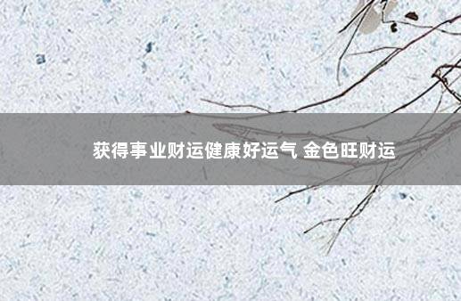 获得事业财运健康好运气 金色旺财运