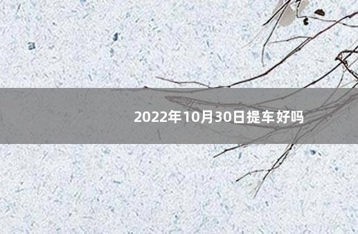 2022年10月30日提车好吗