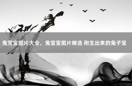兔宝宝图片大全，兔宝宝图片精选 刚生出来的兔子宝宝图片