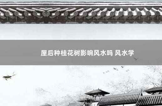 屋后种桂花树影响风水吗 风水学