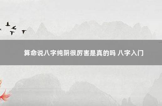 算命说八字纯阴很厉害是真的吗 八字入门