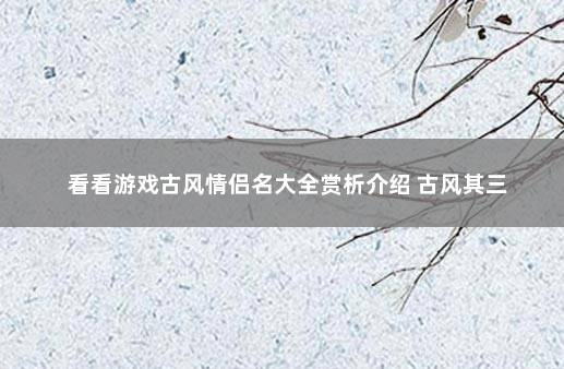 看看游戏古风情侣名大全赏析介绍 古风其三